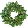 Winward Home Magnolia Leaf Twig Wreath 30" Best