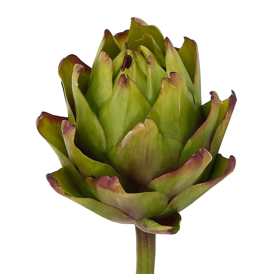 Winward Home Artichoke (Set Of 12) Online