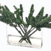 Winward Home Succulent In Rectangle Vase 13" Best