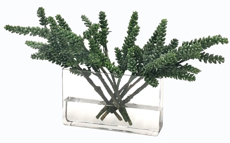 Winward Home Succulent In Rectangle Vase 13" Best