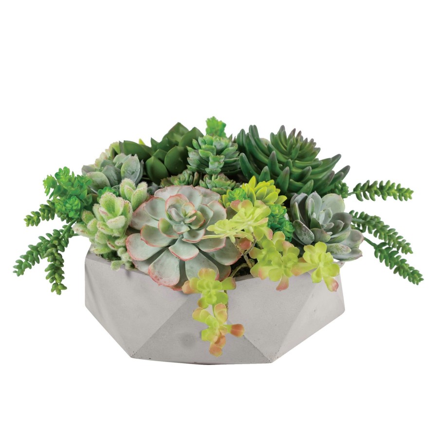 Winward Home Mix Succulent In Hexagon Pot 9" Hot