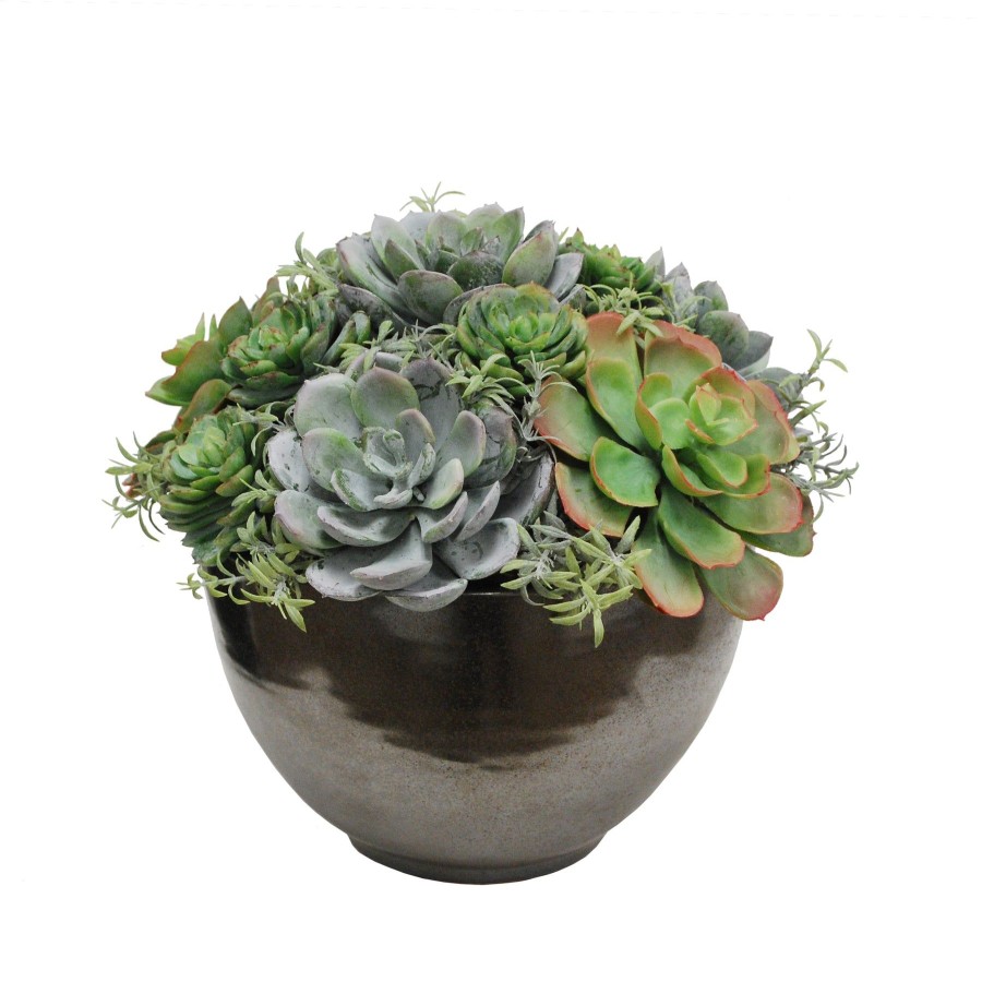 Winward Home Mix Succulent In Crete Bowl 10" Best