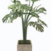 Winward Home Monstera Tree In Square Planter 4.5' Best