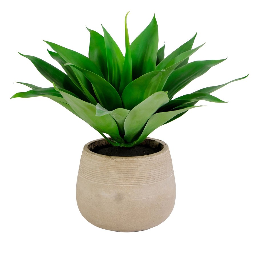 Winward Home Aloe In Calistoga Planter 21-Inches Tall Best