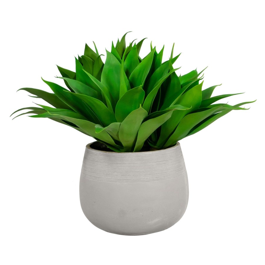 Winward Home Aloe In Stonecast Planter 25'' Clearance