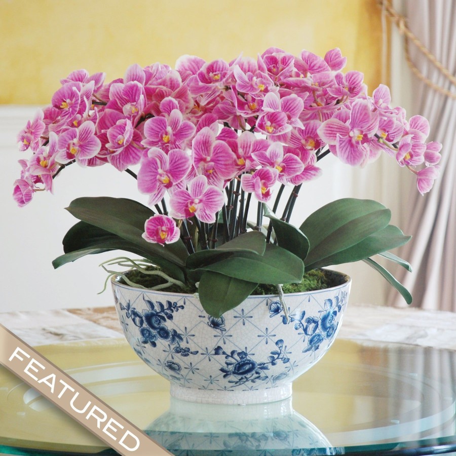 Winward Home Eclectic Phalaenopsis Orchid Centerpiece (Dp770-Puwh) Wholesale