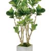 Winward Home Fiddle Leaf Fig Tree In Square Planter 4.5' Clearance