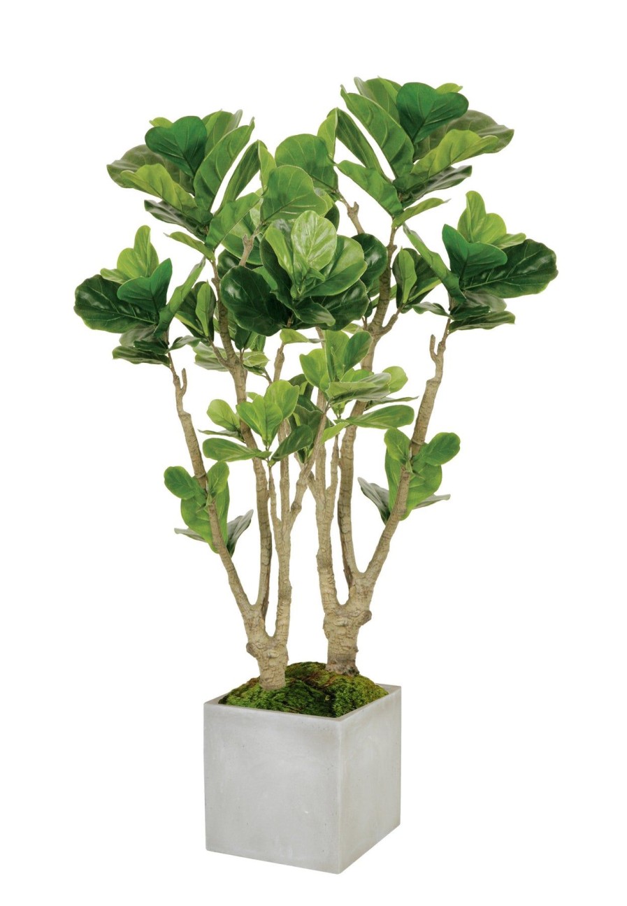 Winward Home Fiddle Leaf Fig Tree In Square Planter 4.5' Clearance