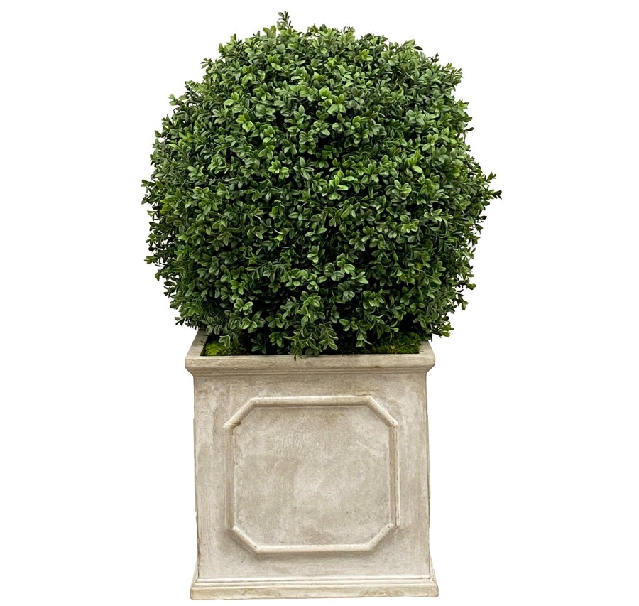 Winward Home 18" Boxwood In Planter Clearance