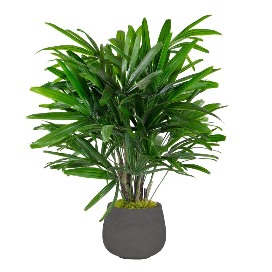 Winward Home Rhapis Palm In Stonecast Planter 3' Clearance