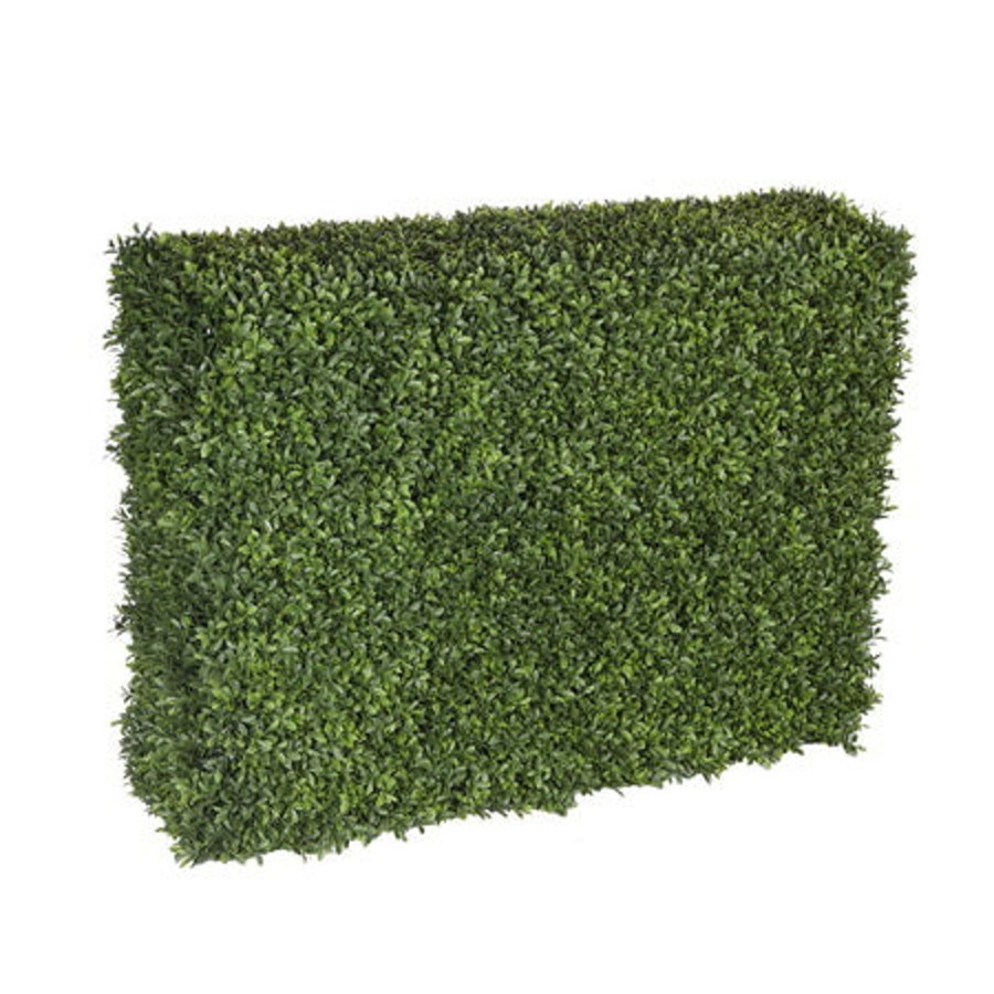 Winward Home Boxwood Hedge 28" New