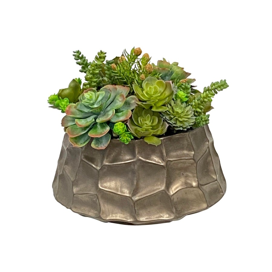 Winward Home Succulent Mix In Modern Pot 10" Clearance