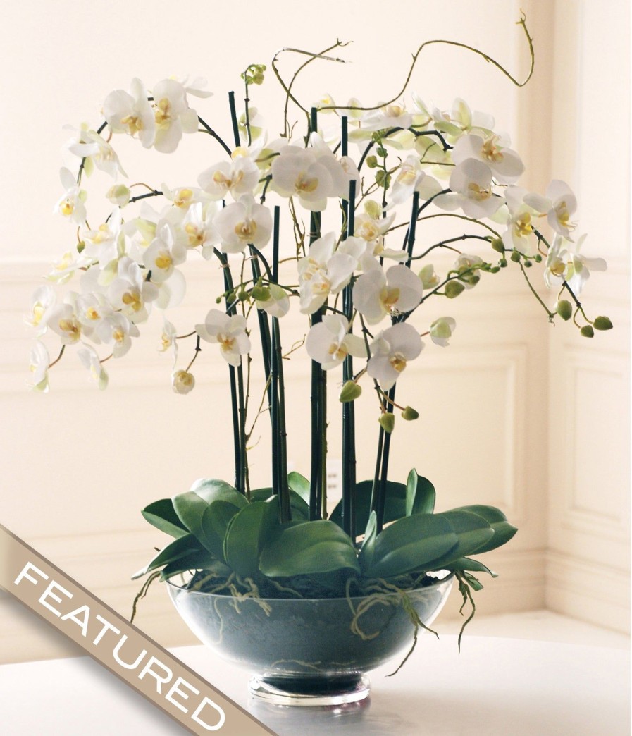 Winward Home Phalaenopsis In Glass 32" Best