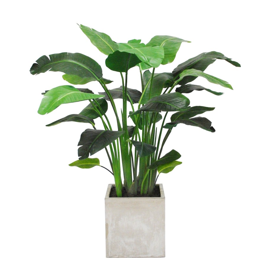 Winward Home Travelers Palm Planter 3.5' Wholesale