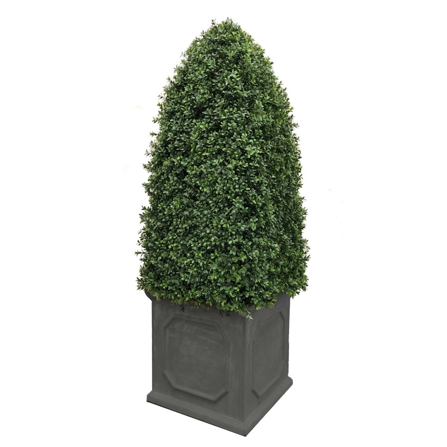 Winward Home Bullet Boxwood In Planter 5' Online