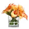 Winward Home Dual Calla In Cube (Whd242-Or) Online