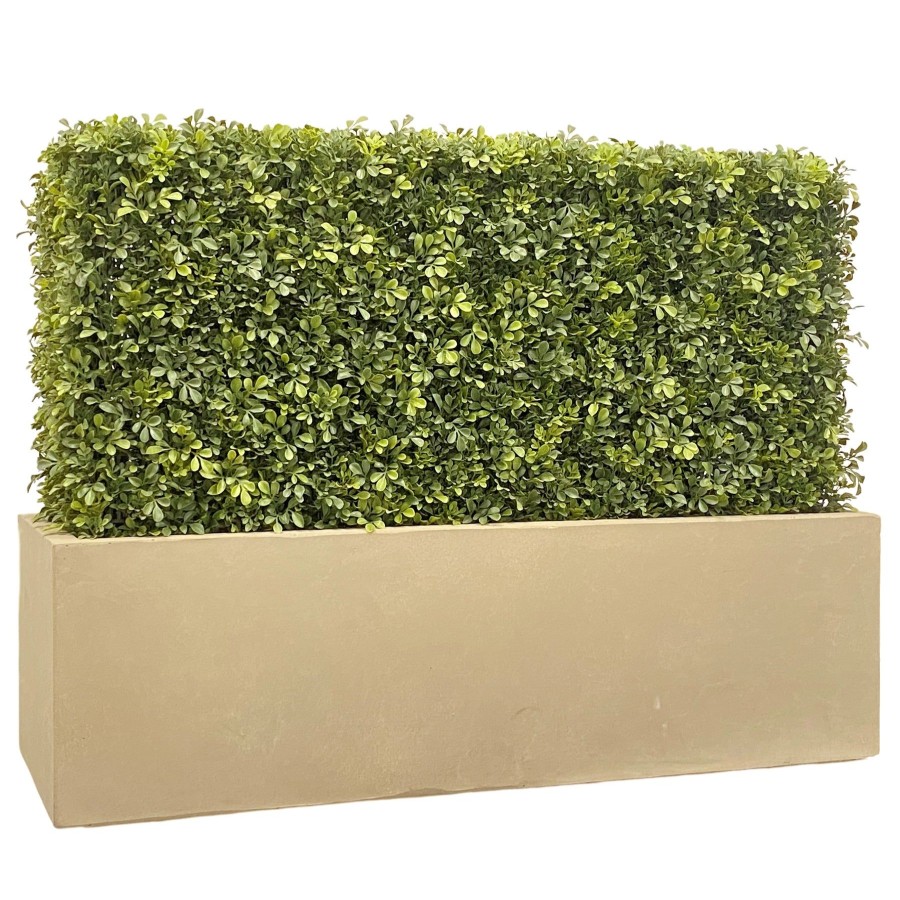 Winward Home Boxwood Hedge In Planter 30" Best