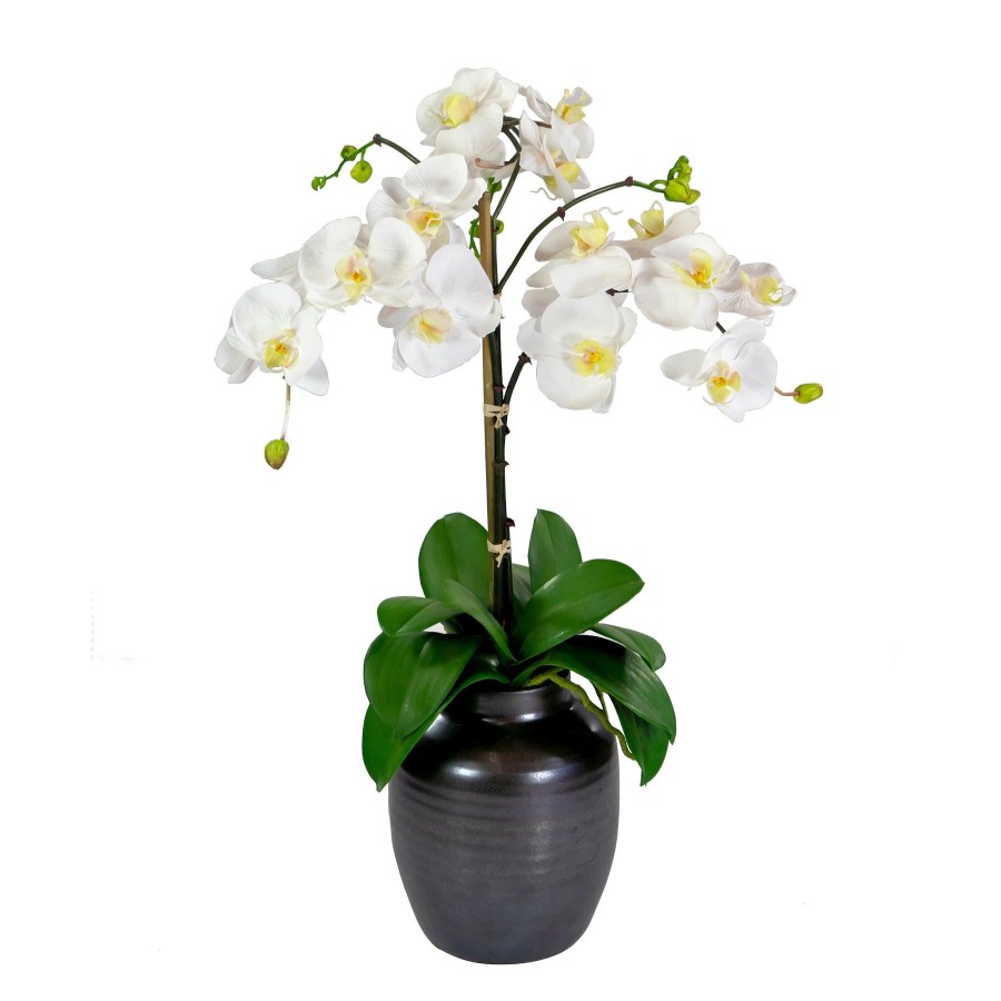 Winward Home Orchid In Crete Pot 24" Wholesale