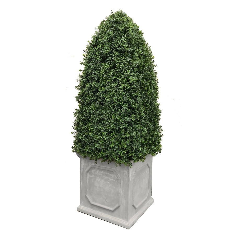 Winward Home Bullet Boxwood In Planter 5' Wholesale