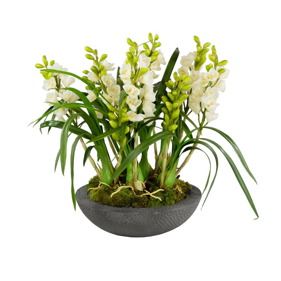 Winward Home Orchid Cymbidium In Planter 27" Wholesale