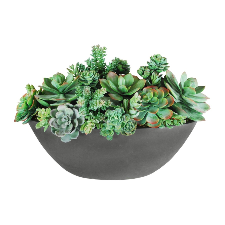 Winward Home Succulent Mix In Oval Planter 14" Best