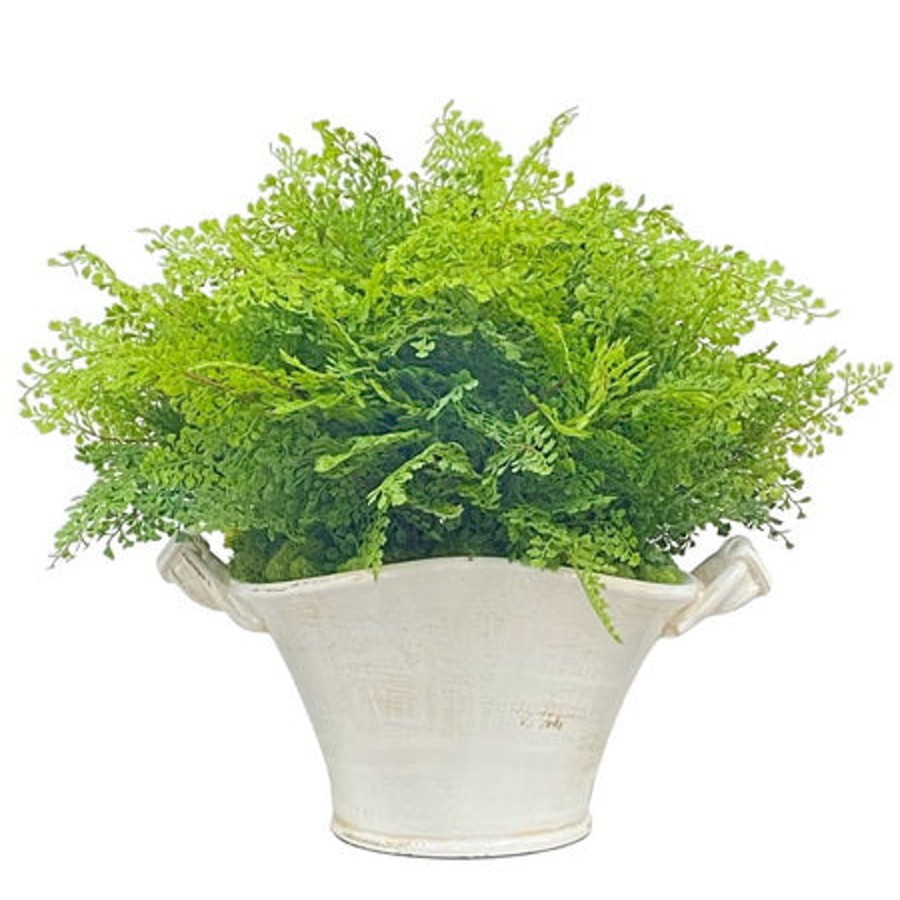 Winward Home Spring Fern In Planter 22'' Best