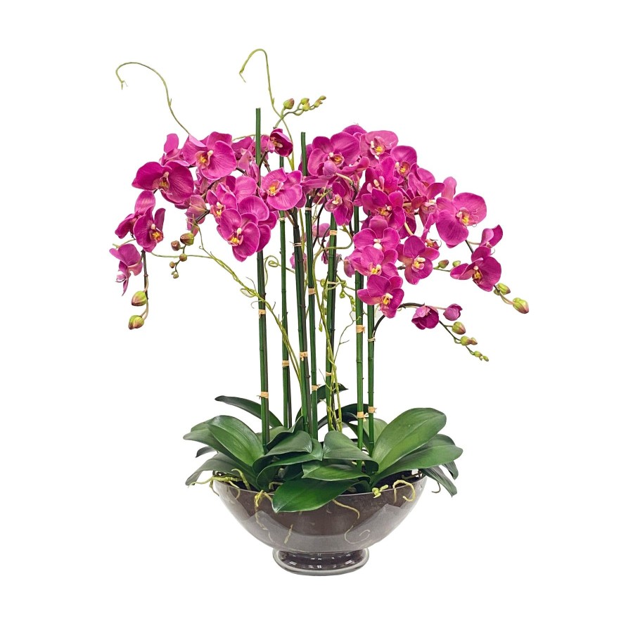 Winward Home Phalaenopsis In Glass 32" Hot