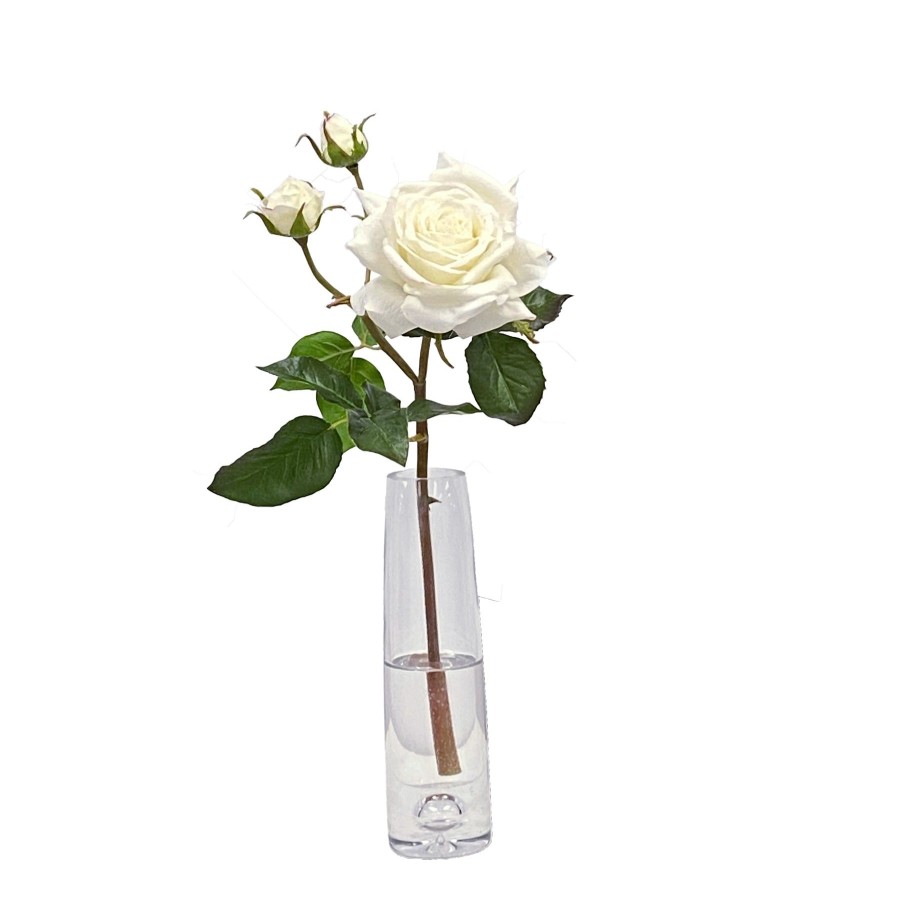 Winward Home English Rose In Vase 19" Best