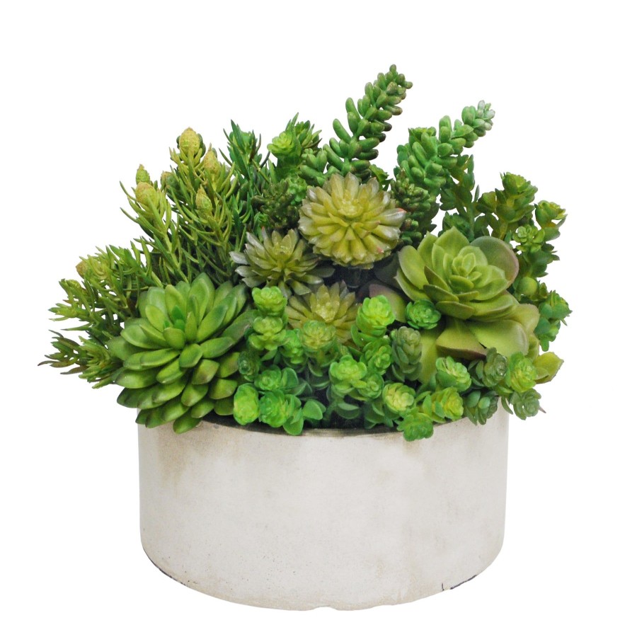 Winward Home Succulent Garden Planter (Whd201-Grtp) Wholesale