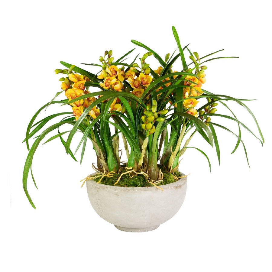 Winward Home Orchid Cymbidium In Bowl (Whd307-Ylgr) Best