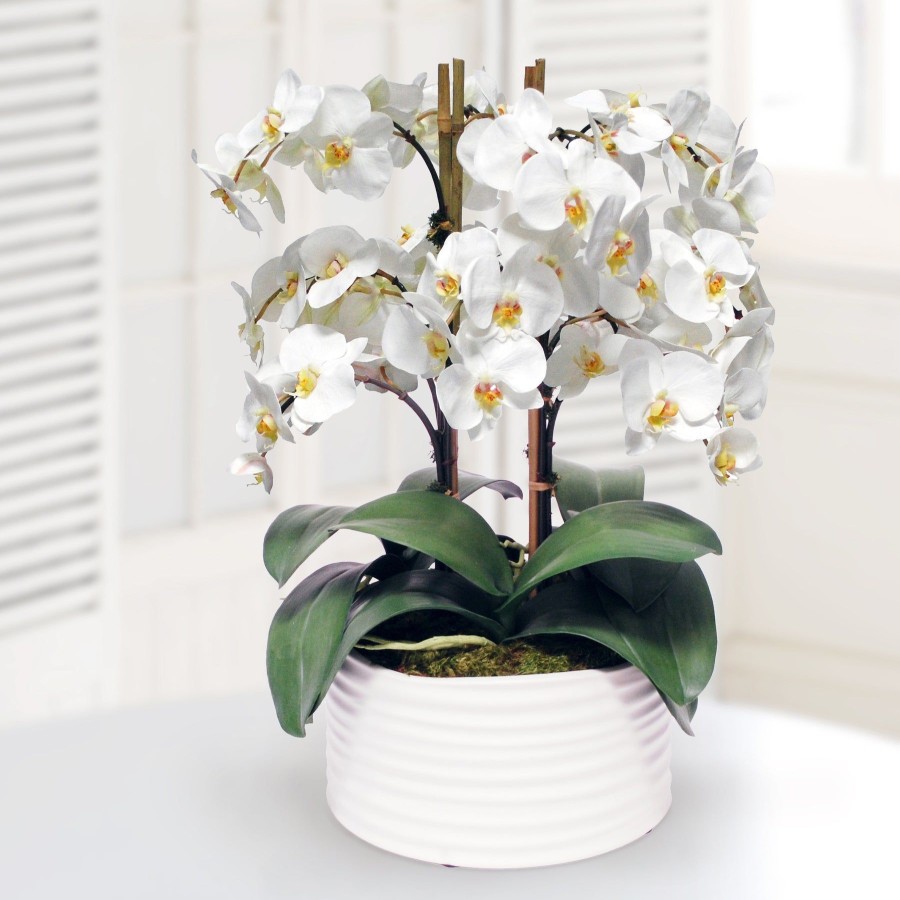 Winward Home Orchid In Urban Coil Planter 13" Clearance