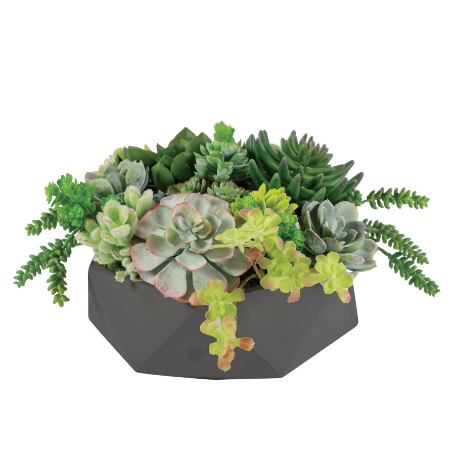 Winward Home Mix Succulent In Hexagon Pot 9" Wholesale