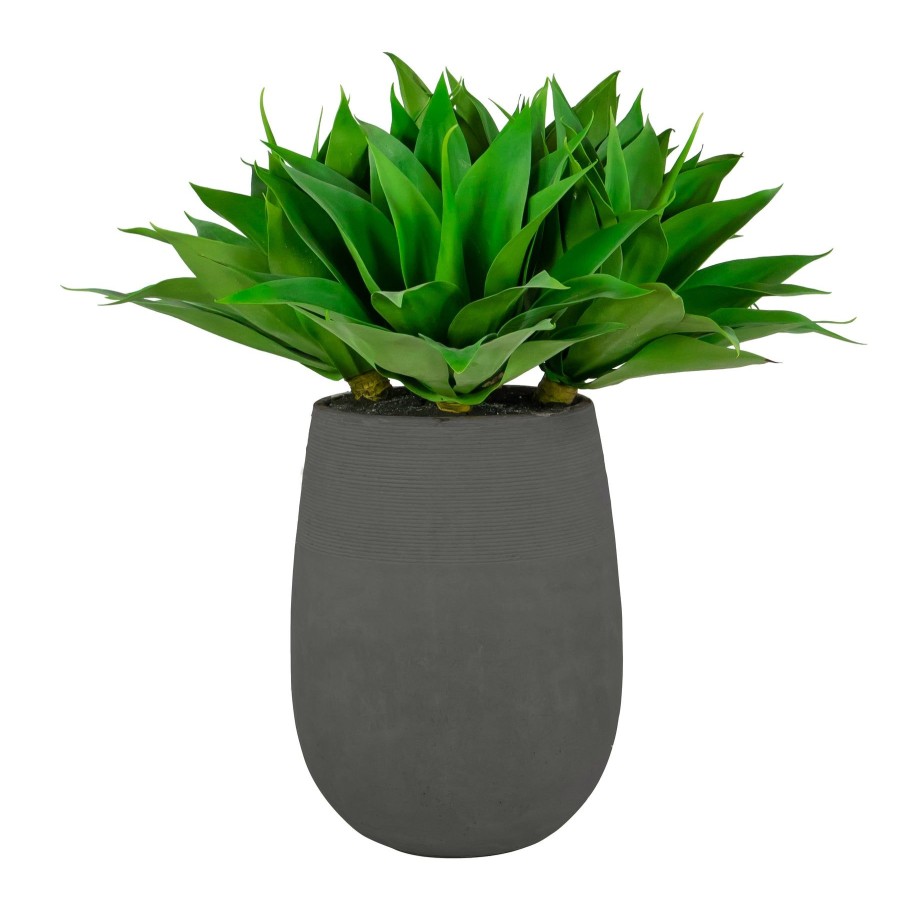 Winward Home Aloe In Stonecast Planter 35" Best