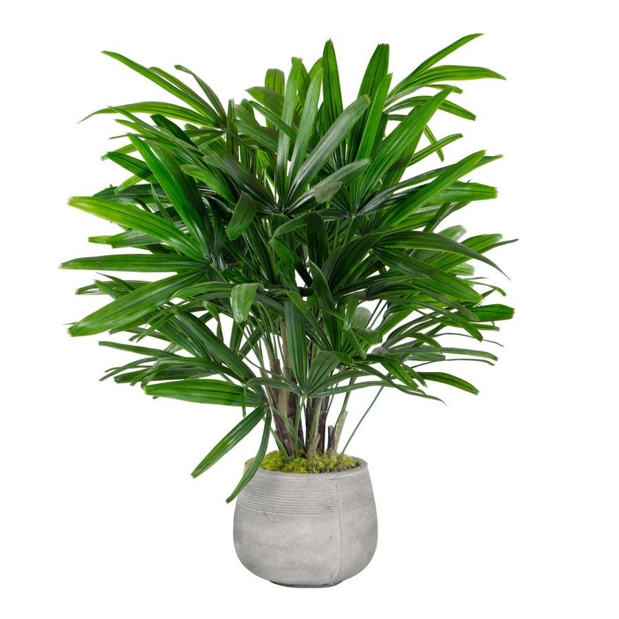 Winward Home Rhapis Palm In Stonecast Planter 3' Online