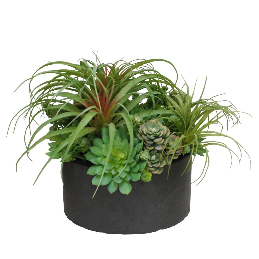 Winward Home Bromeliad Succulent Planter (Whd206-Gygr) Wholesale