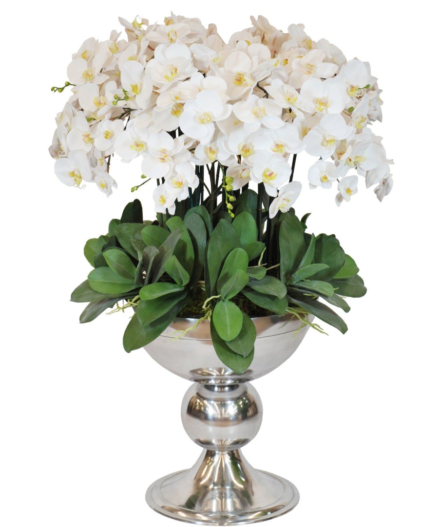 Winward Home White Orchid Icon In Silver Container 48" Hot