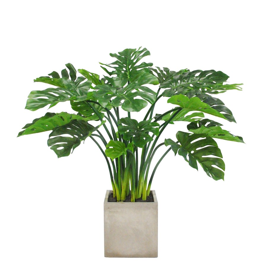 Winward Home Split Leaf Philo Planter 3.7' Clearance