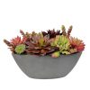 Winward Home Mix Succulent In Oval Planter 10" Hot