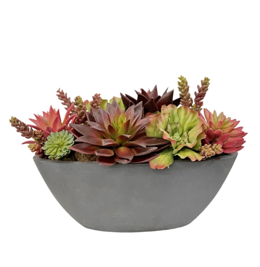 Winward Home Mix Succulent In Oval Planter 10" Hot