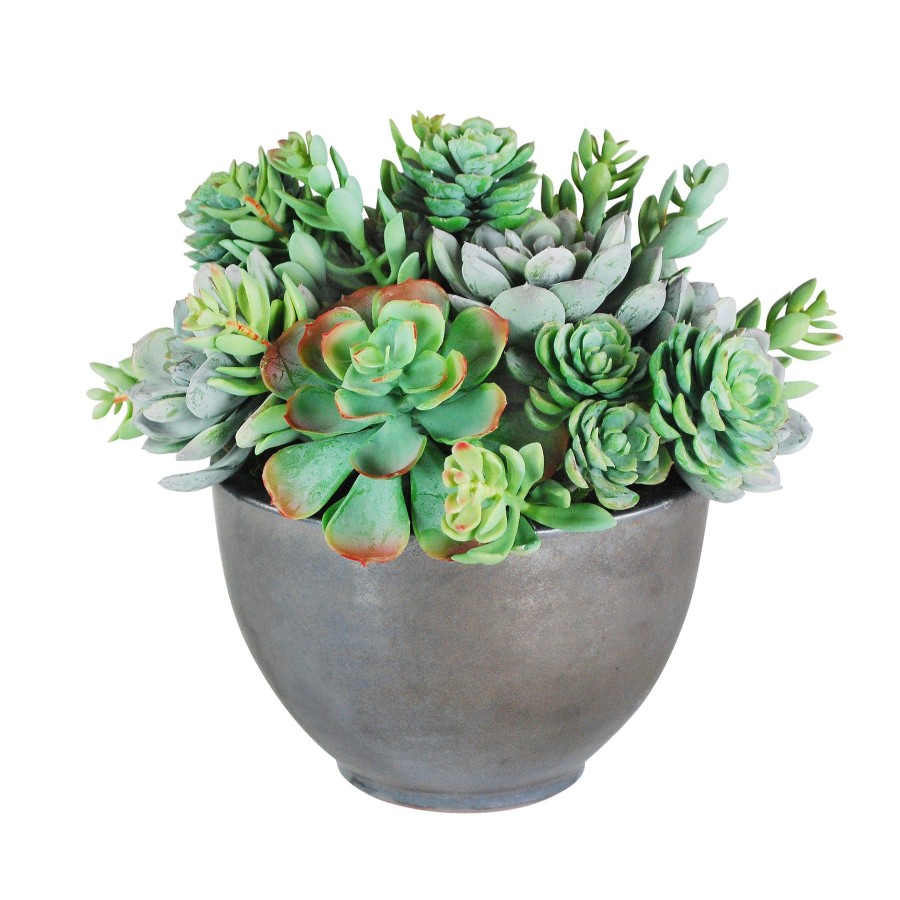 Winward Home Succulent Mix In Bowl 11" Online