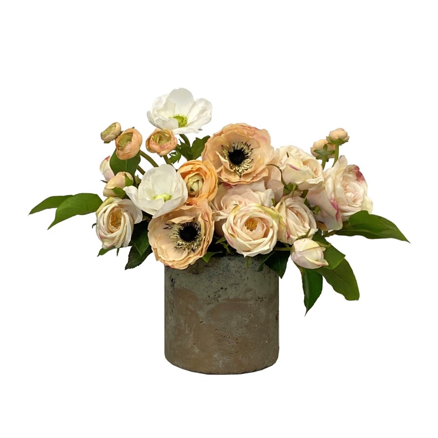 Winward Home Rose Anemone In Pot 12" Clearance