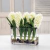 Winward Home White Hyacinth Rectangle (Dp765-Wh) Online