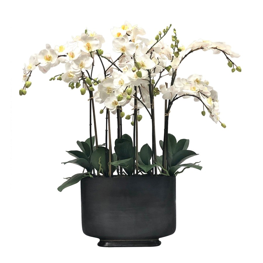 Winward Home Orchid In Rectangle Vase 35" Hot