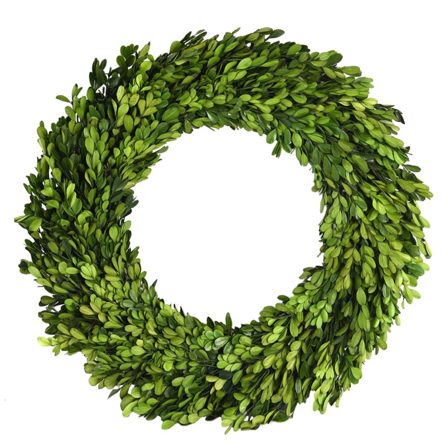 Winward Home Preserved Boxwood Wreath 36" New