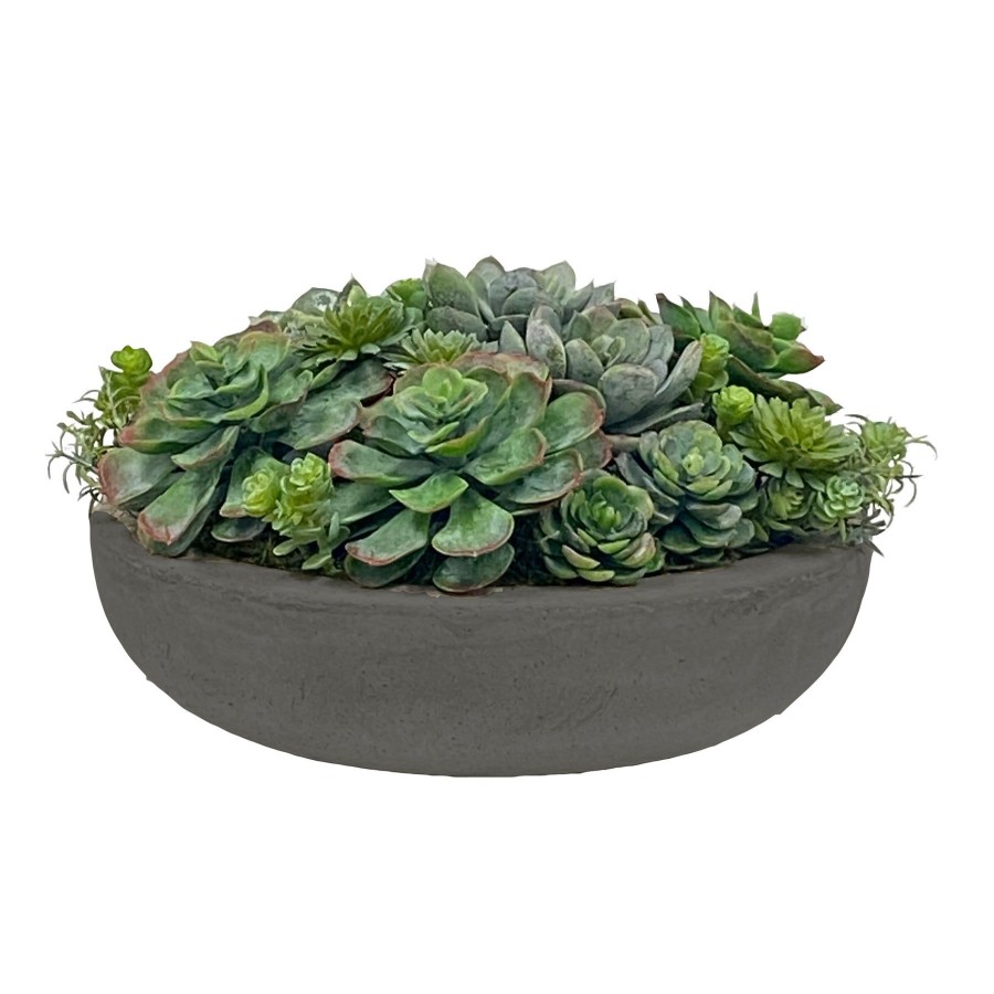 Winward Home Succulent Mix In Round Bowl 7'' Best